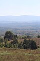 Valjevska Loznica - Panorama