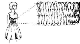 <span class="mw-page-title-main">Shirring</span> Gathering fabric with multiple rows of stitching