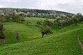 Wiese bei Gailbach (Preisträger bei WLE2014)