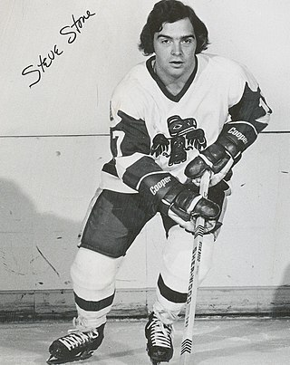 <span class="mw-page-title-main">Steve Stone (ice hockey)</span> Canadian ice hockey player