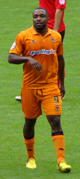 <span class="mw-page-title-main">Sylvan Ebanks-Blake</span> English footballer