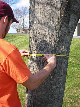 <span class="mw-page-title-main">Diameter tape</span> Measurement tool