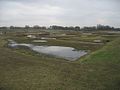 Wildfowl and Wetlands Trust London Wetland Centre