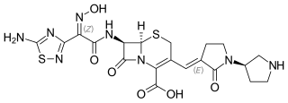 <span class="mw-page-title-main">Ceftobiprole</span> Chemical compound