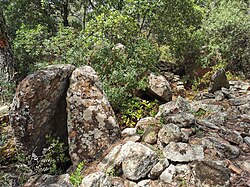 Image illustrative de l’article Dolmen de la Maubelle