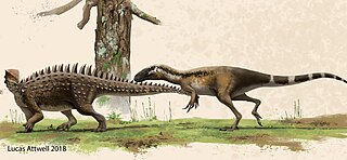 <i>Emausaurus</i> Extinct genus of thyreophoran dinosaurs