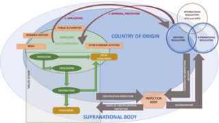 Geographical indication name or sign used on certain products which corresponds to a specific geographical location or origin