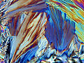 Crystallization of glucose, Nomarski differential interference contrast (1650x magnification in A3)