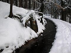 Grüner Graben