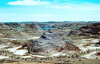 <span class="mw-page-title-main">Hell Creek Formation</span> Geological formation