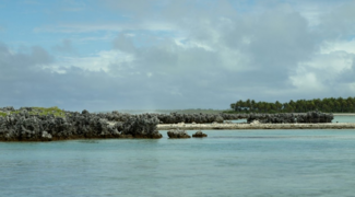 Île aux récifs à Rangiroa.