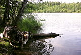 Judarskogens naturreservat