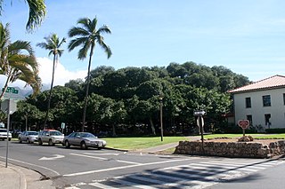 <span class="mw-page-title-main">Lahaina Banyan Court Park</span> Public park in Lahaina, Hawaii