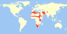 Mapka s rozšířením zajíce afrického