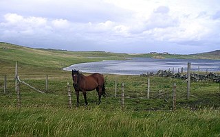 Nesting, Shetland parish in the Shetland Islands, Scotland