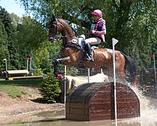 Lucinda Fredericks Flying Finish Treasure Chests Houghton 2013.jpg