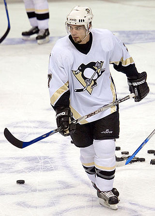 <span class="mw-page-title-main">Michel Ouellet</span> Canadian ice hockey player