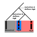 09:18, 2 செப்டெம்பர் 2007 இலிருந்த பதிப்புக்கான சிறு தோற்றம்