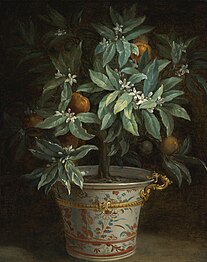 Jean-Baptiste Oudry, The Orange Tree, 1740