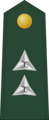 PA 1st Lt.png