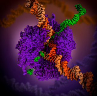 <span class="mw-page-title-main">Biological data</span>