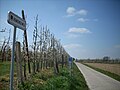 Romeinseweg à Zoutleeuw