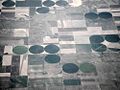 Farmland in the USA. The fields are round due to pivot irrigation. Photo taken from the window of an airliner