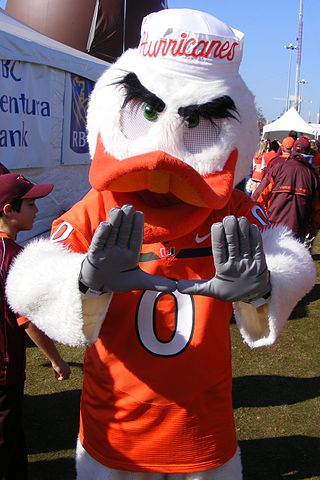 <span class="mw-page-title-main">Sebastian the Ibis</span> The mascot of the University of Miami