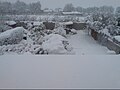 Snow in Epsom, Surrey