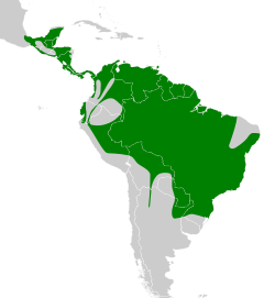 Distribución geográfica del picoplano sulfuroso.