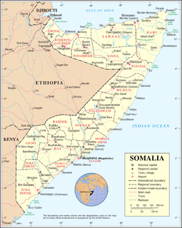 2013 timeline of the War in Somalia