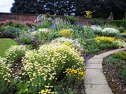 Winterbourne Botanic Garden.JPG