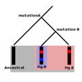 18:07, 1 செப்டெம்பர் 2007 இலிருந்த பதிப்புக்கான சிறு தோற்றம்