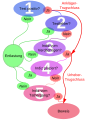 Vorschaubild der Version vom 20:03, 10. Dez. 2010