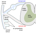 09.32, 1 Aralık 2006 tarihindeki sürümün küçültülmüş hâli