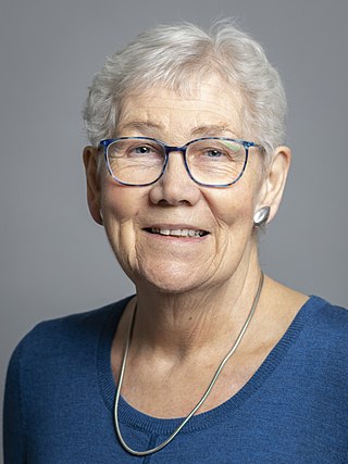 <span class="mw-page-title-main">Diana Maddock, Baroness Maddock</span> British Liberal Democrat politician (1945–2020)