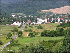 Погляд на Буковець