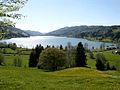 Blick auf den großen Alpsee