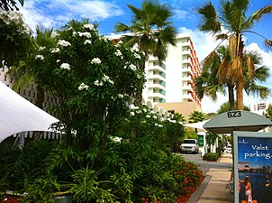 Hotel La Concha, a Renaissance resort