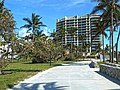 Seagrape trees brought down by Irma in Lummus Park