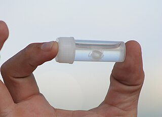 <span class="mw-page-title-main">Irukandji jellyfish</span> Species of jellyfish