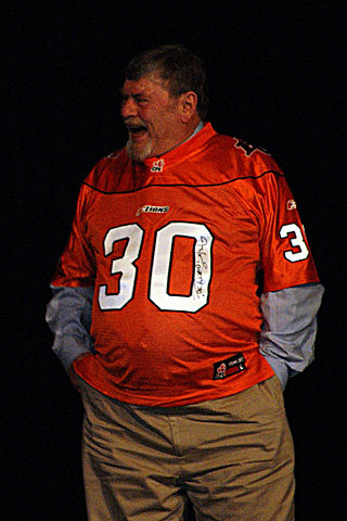 <span class="mw-page-title-main">Jim Young</span> Canadian gridiron football player (born 1943)