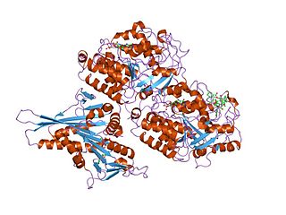 <span class="mw-page-title-main">Tubulin</span> Superfamily of proteins that make up microtubules