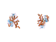 2bxs: HUMAN MONOAMINE OXIDASE A IN COMPLEX WITH CLORGYLINE, CRYSTAL FORM B