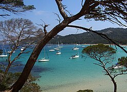 Plage de la Courtade, sur l'île de Porquerolles.