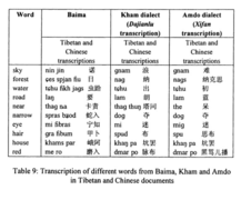 Transcriptions of different words from Baima, Kham, and Amdo in Tibetan and Chinese Documents.png