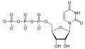 Минијатура за верзију на дан 00:48, 9. јун 2007.