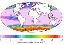 Annual mean sea surface nitrate (WOA 2009)