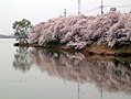 2018年2月4日 (日) 06:01時点における版のサムネイル