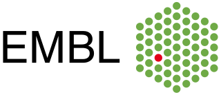 <span class="mw-page-title-main">European Molecular Biology Laboratory</span> Molecular biology research institution